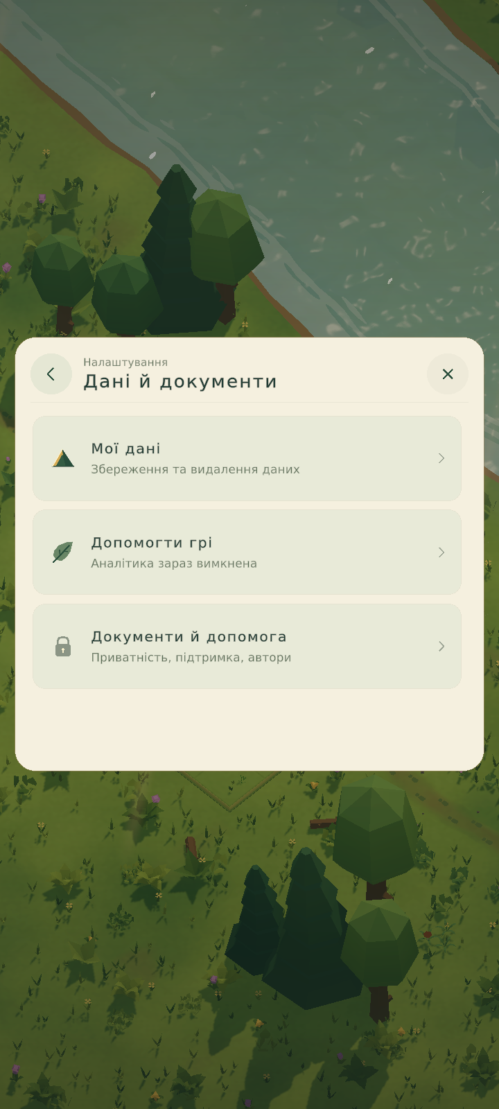 Приватність: справжній український інтерфейс гри